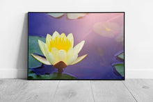 Laad de afbeelding in galerijviewer, Yellow Lotus Water Lilly Blooming Rising From The Still Water In The Sun Wall Art Print on Paper Framed Picture print
