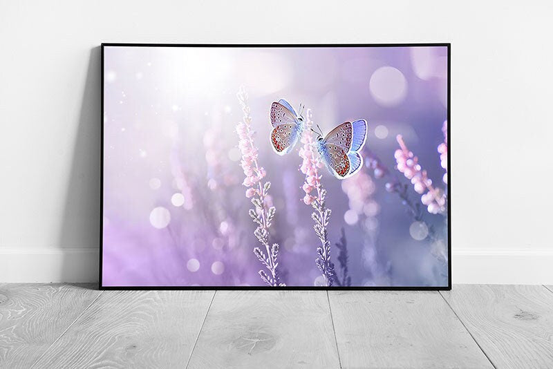 Two Beautiful Butterflies Meeting On A Sprig Of Lavender In The Summer Soft Focus Wall Art Print on Paper Framed Picture print