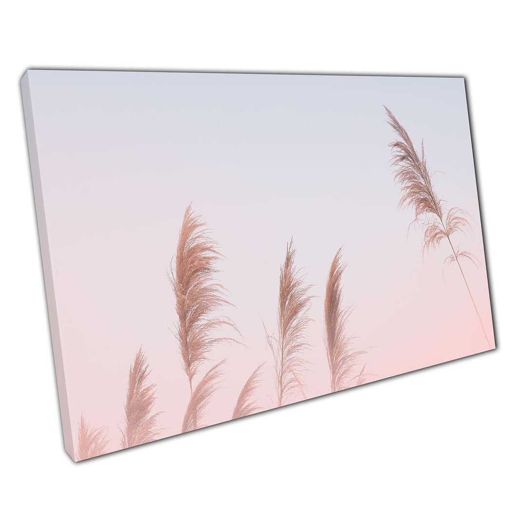 Tall Reeds Of Fluffy Grass On An Early Misty Morning Minimal Zen Photography Nature Wall Art Print On Canvas Picture For Home Office Decor