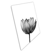 Laden Sie das Bild in Galerie -Viewer, Stunning Detailed Lotus Flower Black And White Delicate Nature Photography Wall Art Print On Canvas Picture For Home Office Decor
