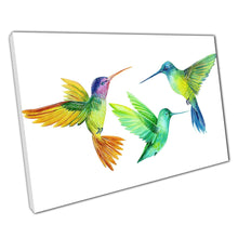 Chargez l&#39;image dans la visionneuse de la galerie, Stunning Rainbow Hummingbirds Fluttering Watercolour Illustration Wall Art Print On Canvas Picture For Home Office Decor
