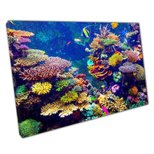 Chargez l&#39;image dans la visionneuse de la galerie, Colourful Coral Reef Filled With Tropical Fish Within Singapore Aquarium Underwater Wall Art Print On Canvas Picture For Home Office Decor
