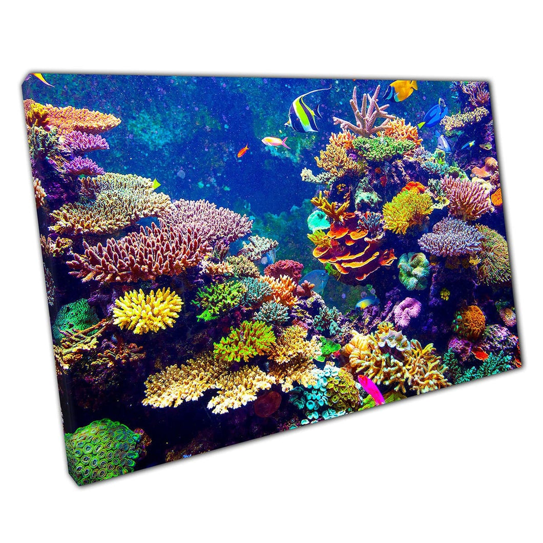 Colourful Coral Reef Filled With Tropical Fish Within Singapore Aquarium Underwater Wall Art Print On Canvas Picture For Home Office Decor