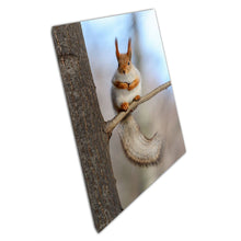 Laden Sie das Bild in Galerie -Viewer, Cute Red Squirrel With Fluffy Tail Perched On A Tree Branch On A Sunny Winters Day Wall Art Print On Canvas Picture For Home Office Decor
