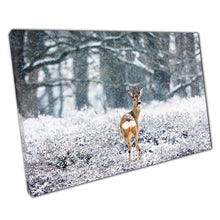 Carica immagine nel visualizzatore della galleria, Roe Deer Buck Heading Into Snowy Dutch Heather Woodland Forest Netherlands Winter Wall Art Print On Canvas Picture For Home Office Decor
