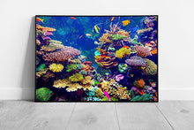 Carica immagine nel visualizzatore della galleria, Colourful Coral Reef Filled With Tropical Fish Within Singapore Aquarium Underwater Wall Art Print on Paper Framed Picture print
