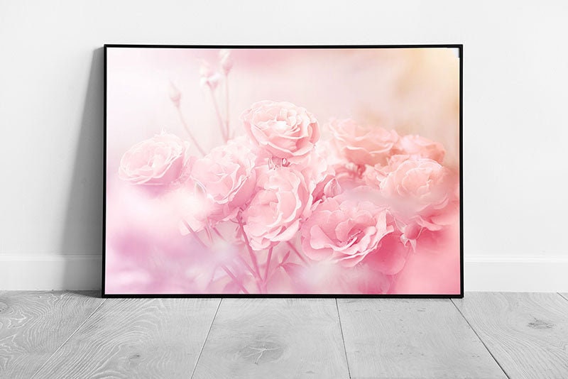 Selection Of Soft Focus Blush Pink Roses Natural Floral Photography Romantic Flowers Wall Art Print on Paper Framed Picture print