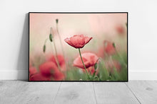 Laden Sie das Bild in Galerie -Viewer, Large Pink poppy wild Flower meadow field art Poppies Ready to Hang Wall Art Print Framed Picture print
