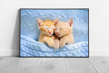 Chargez l&#39;image dans la visionneuse de la galerie, Two Ginger Baby Kittens Snuggling Together In A Blue Blanket Cute Cat Photography Wall Art Print on Paper Framed Picture print

