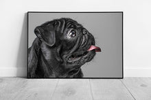 Carica immagine nel visualizzatore della galleria, Pet Black Pug Dog Animal Art Ready to Hang Wall Art Print Framed Picture print
