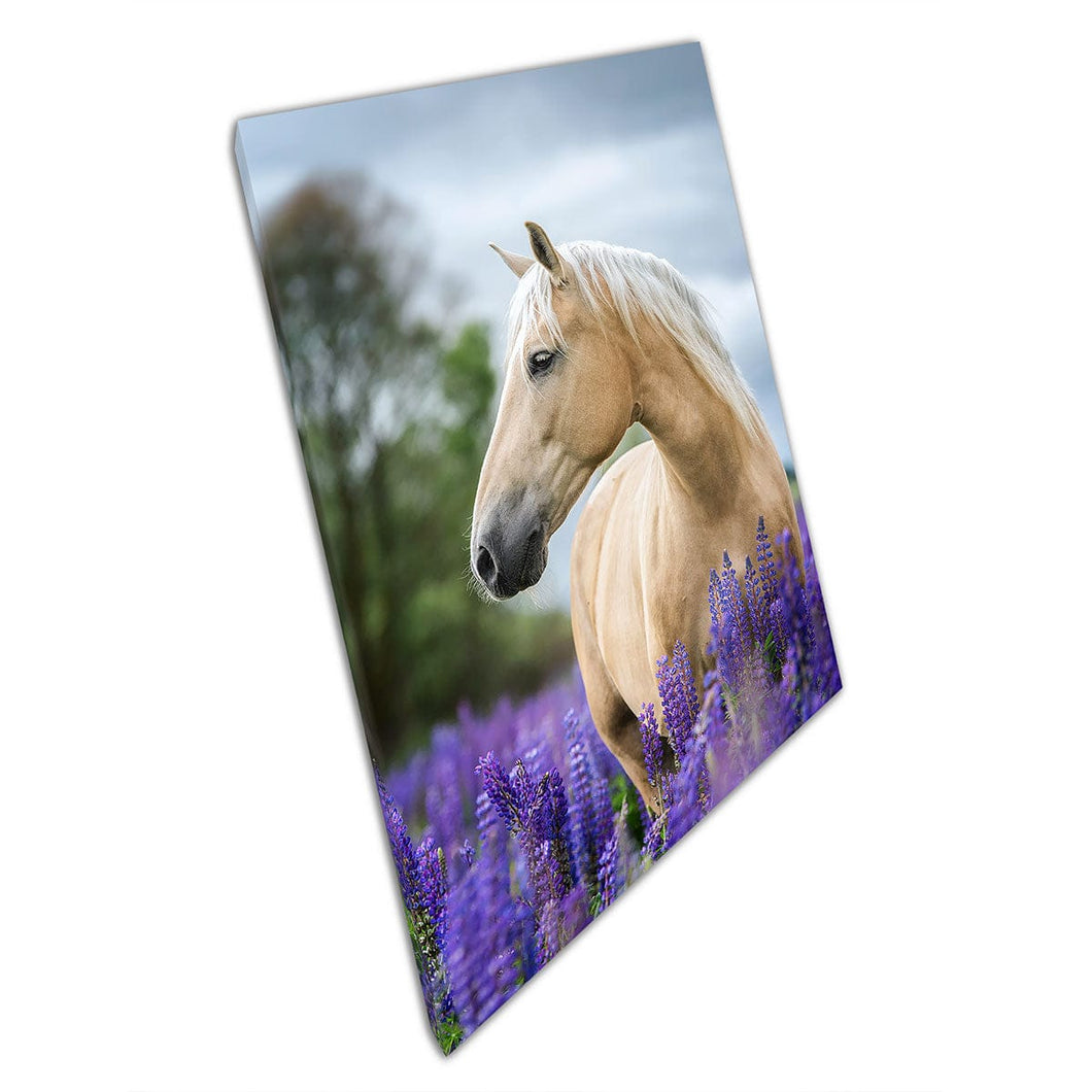 Palomino Horse In Lavender Field Wall Art Print On Canvas Mounted Canvas print