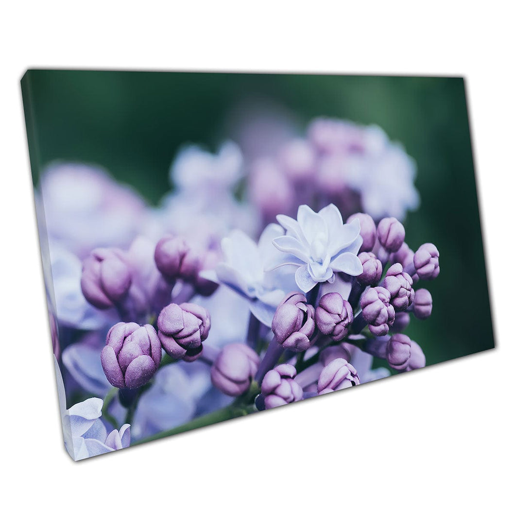 Soft Violet Lilac Flowers Natural Photography Wall Art Print On Canvas Mounted Canvas print