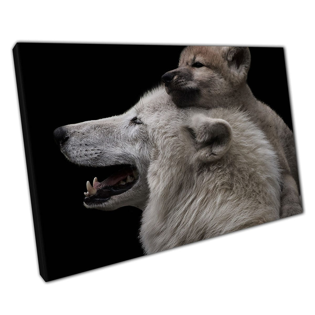 Mother's Love Mother Arctic Wolf And Young Pup Snuggling Wildlife Photography Wall Art Print On Canvas Mounted Canvas print