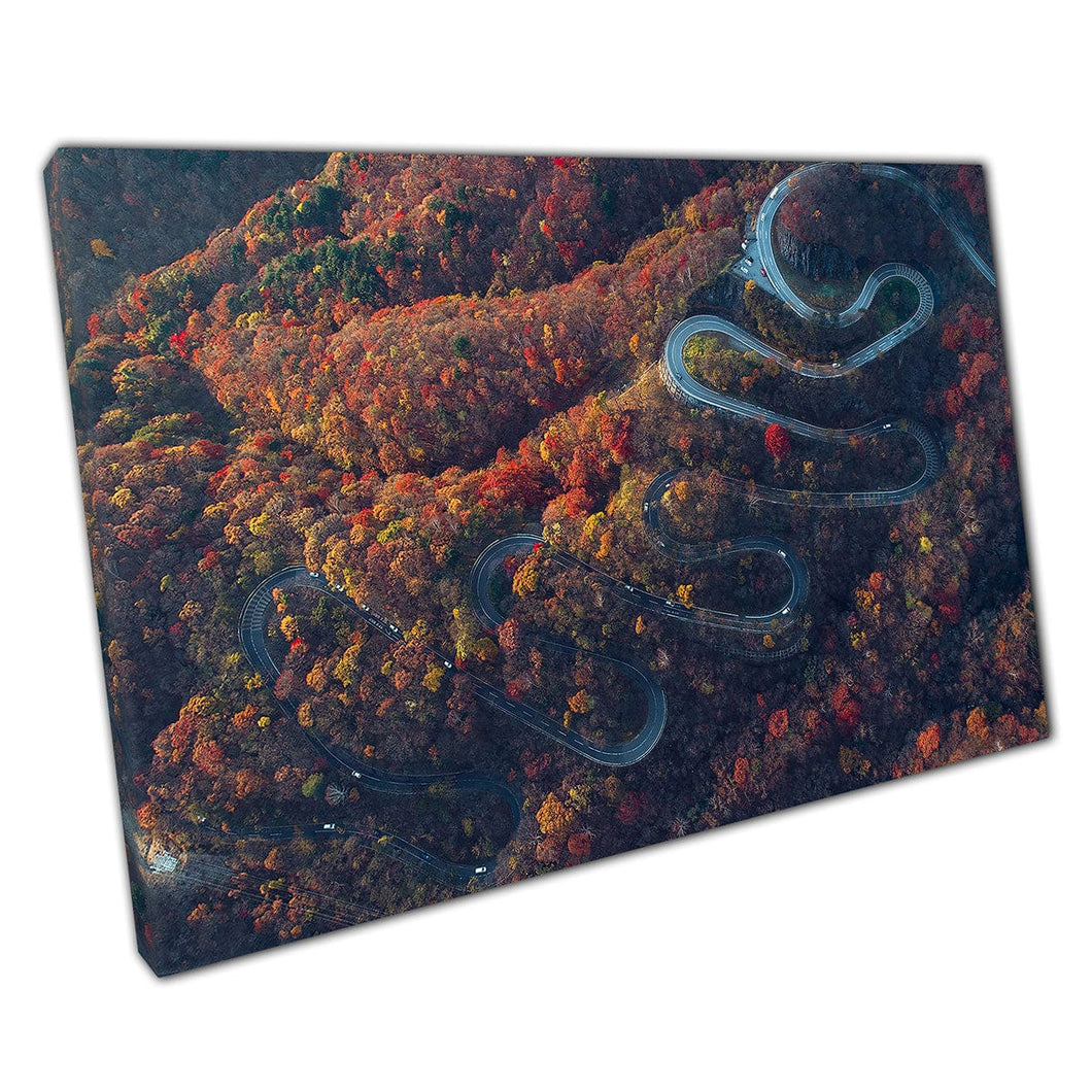 Aerial View Stunning Curving Street On The Nikko Woodland Mountain Japan Wall Art Print On Canvas Mounted Canvas print