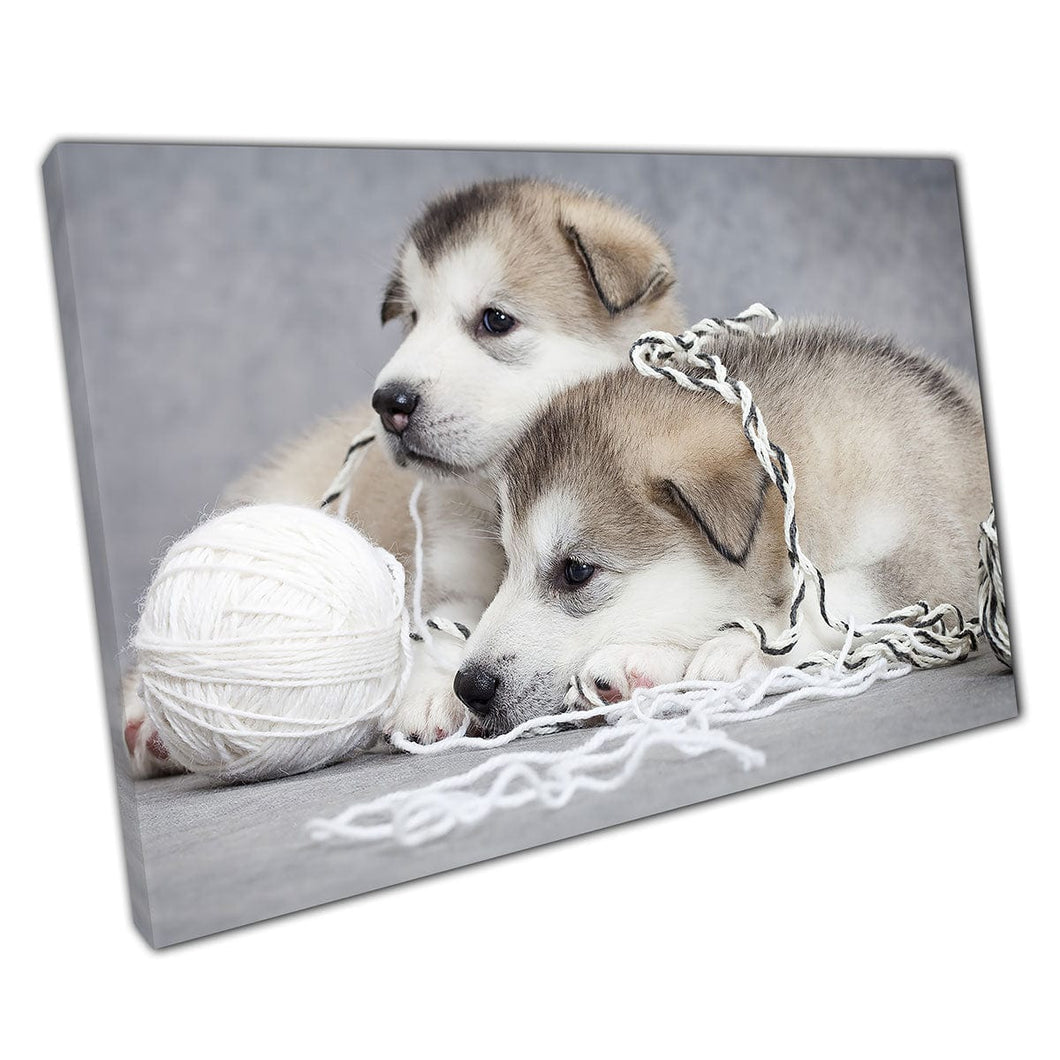 Two Cute Sleepy Malamute Puppies Relaxing After Playing With A Ball Of String Pet Dog Wall Art Print On Canvas Mounted Canvas print