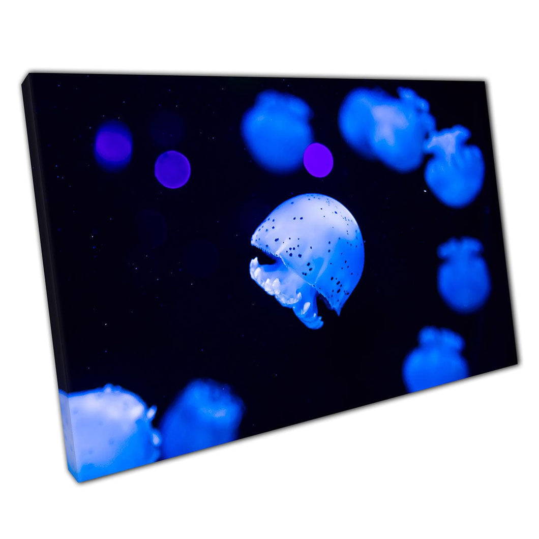 Happy Little Jellyfish Swimming Through Aquarium Under Neon Blue Lighting Sea Life Wall Art Print On Canvas Mounted Canvas print
