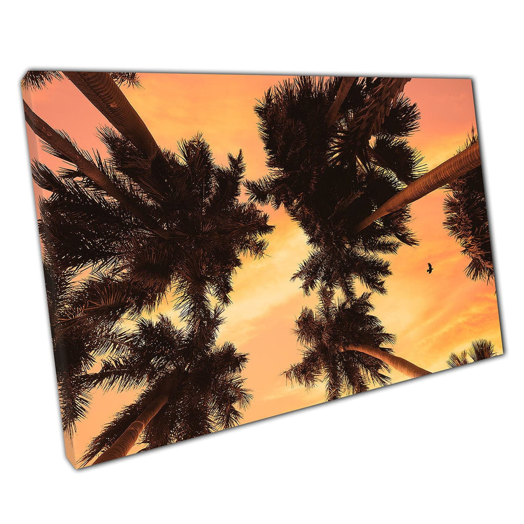 Looking Up Into Coconut Trees Under A Warm Golden Orange Relaxing Sunset Sky Wall Art Print On Canvas Mounted Canvas print