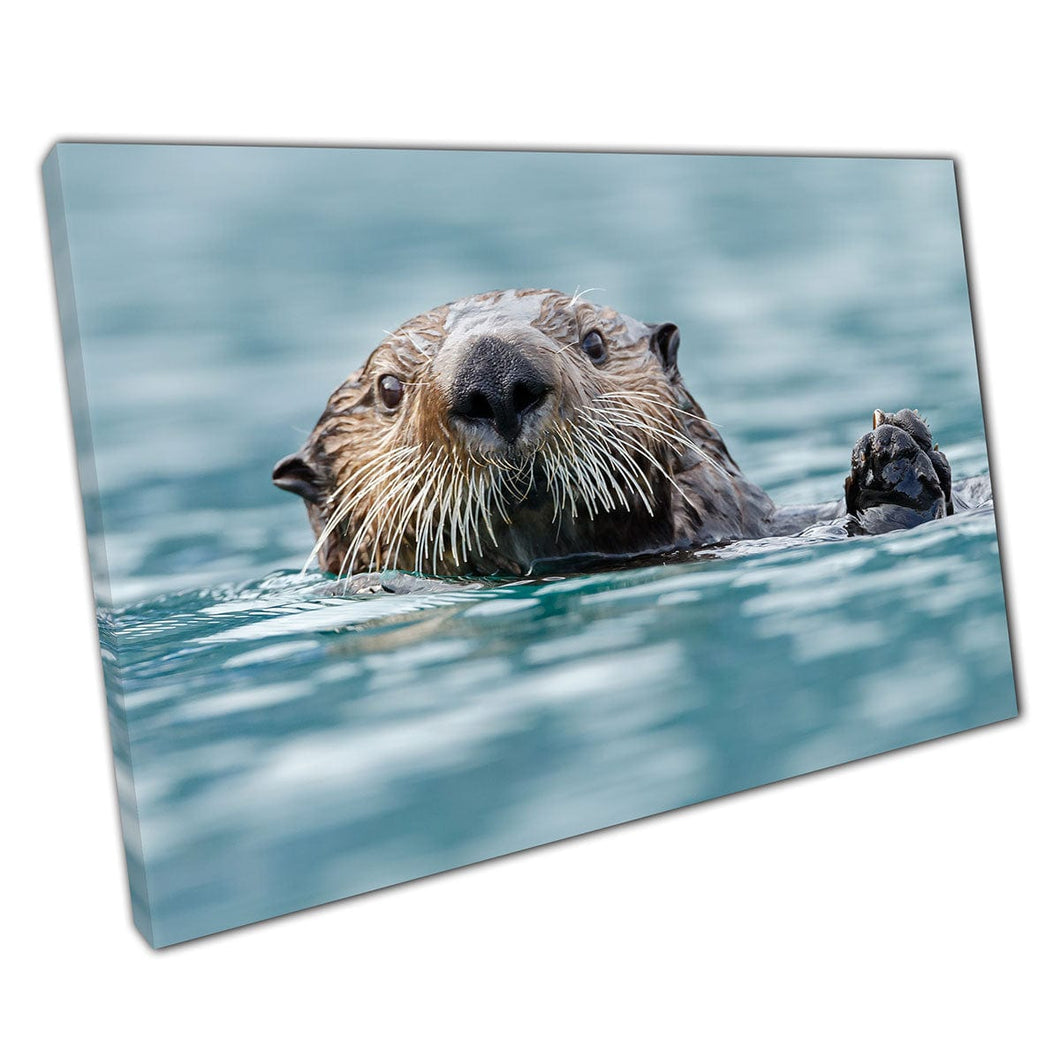 Cute Sea Otter Swimming In Blue Water Happily Waving With Paw Sea Animal Photography Wall Art Print On Canvas Mounted Canvas print