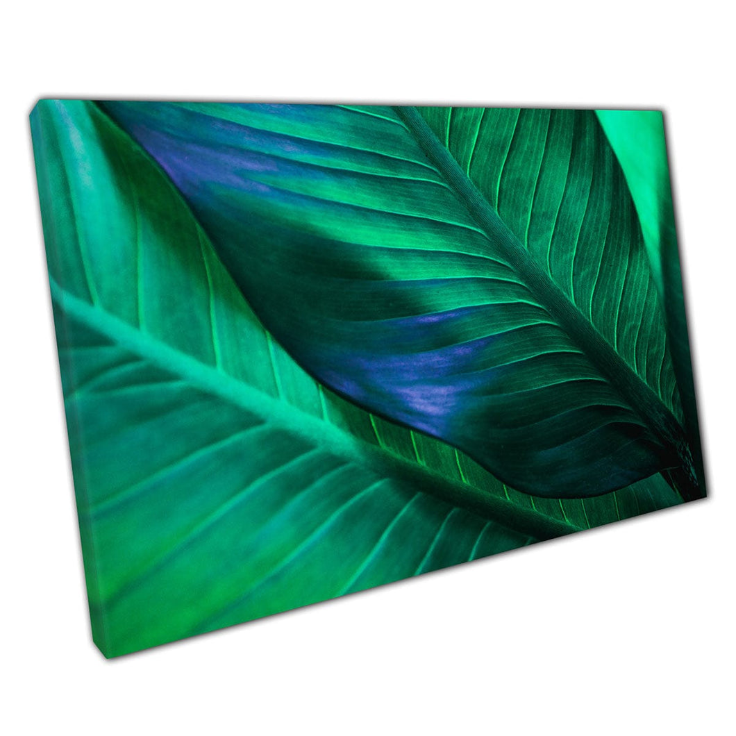 Vivid Abstract Green Leaves Nature Photography Topical Exotic Foliage Natural Wall Art Print On Canvas Mounted Canvas print