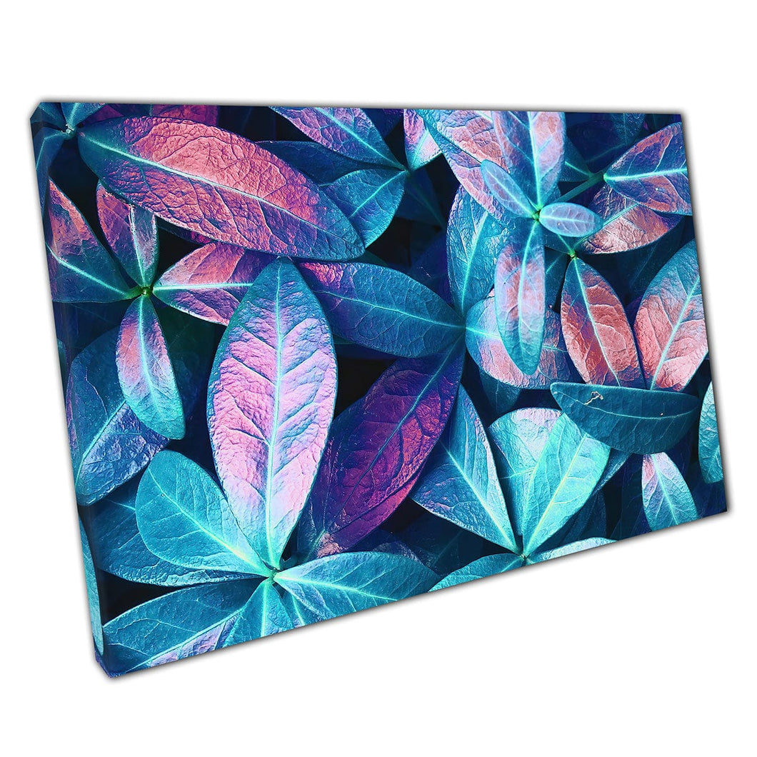 Natural Leaves In Tones Of Green Pink Purple Blue Abstract Vivid Nature Photography Wall Art Print On Canvas Mounted Canvas print