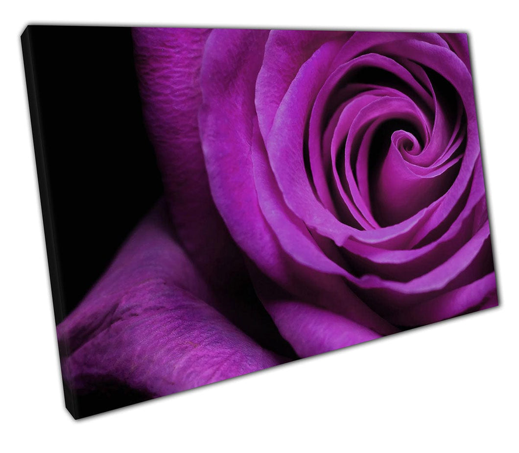 Canvas Print Purple Rose wall art Ready to Hang Print Mounted Canvas print