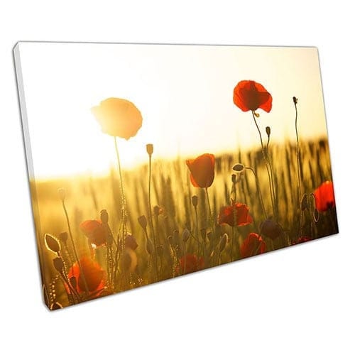 Print on Canvas Summer Poppy Canvas Wall Art Ready To Hang Print Mounted Canvas print