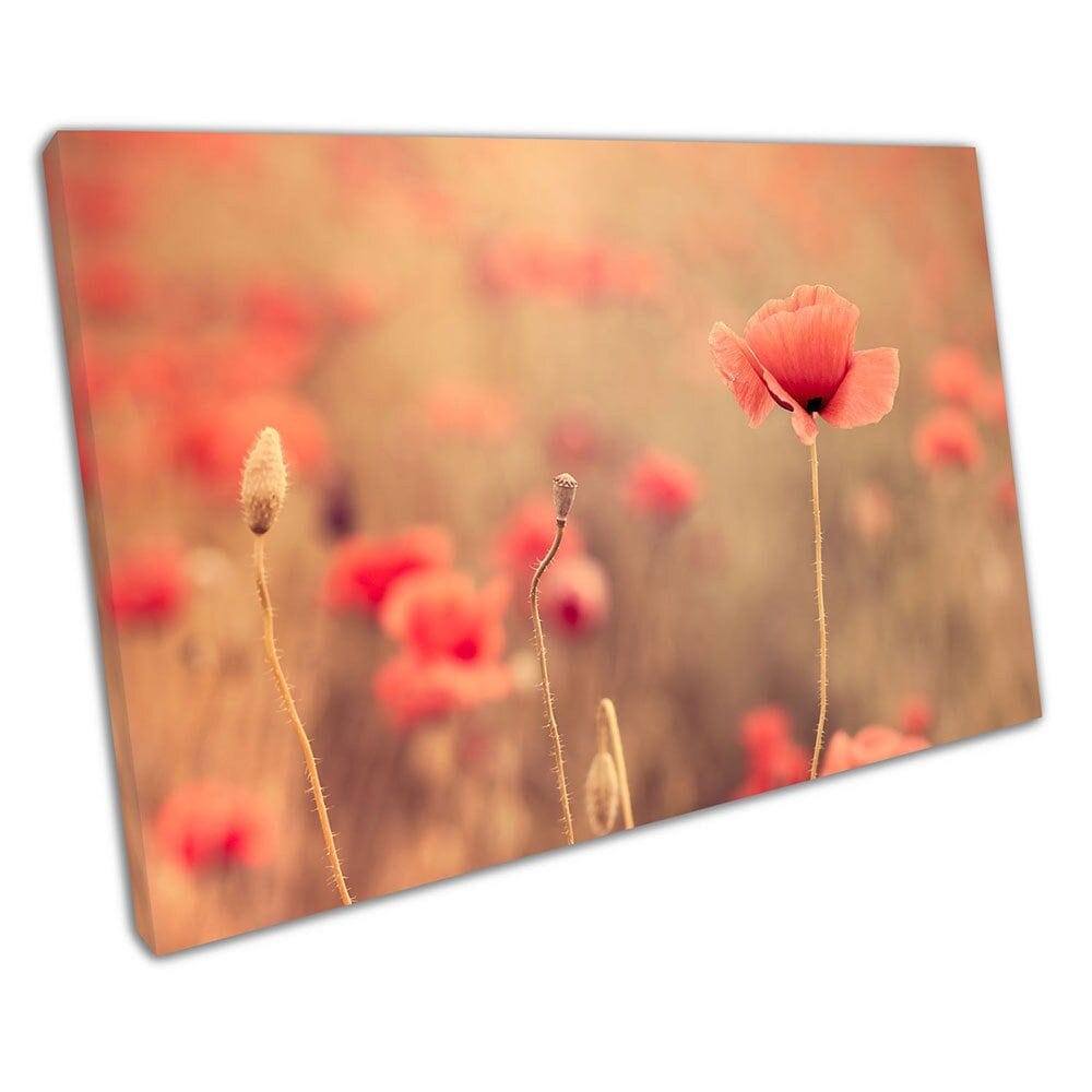 Wild flower meadow with Pink Poppies the countryside Ready to Hang Wall Art Print Mounted Canvas print