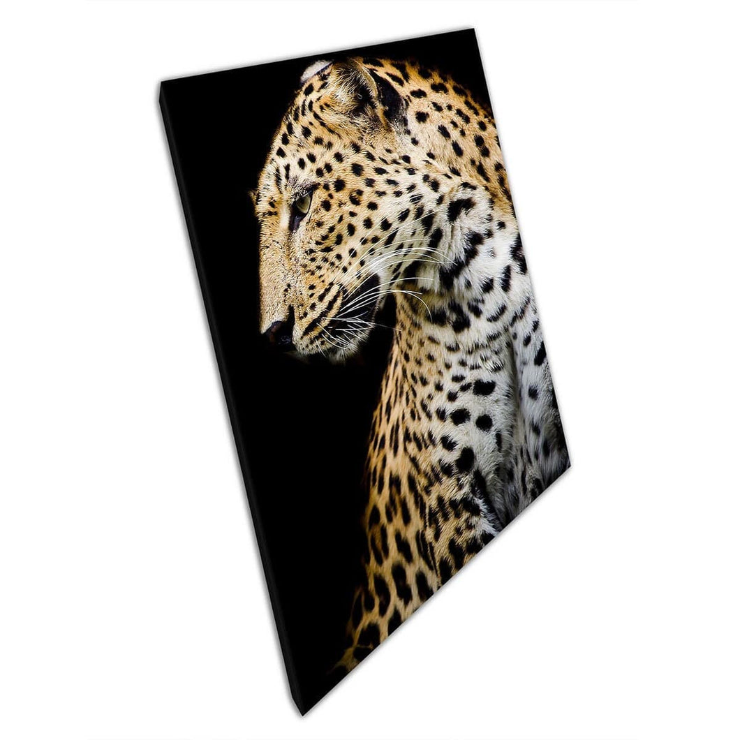 Leopard Sitting Looking To The Side Nature Photography Canvas Wall Art Print On Canvas Mounted Canvas print