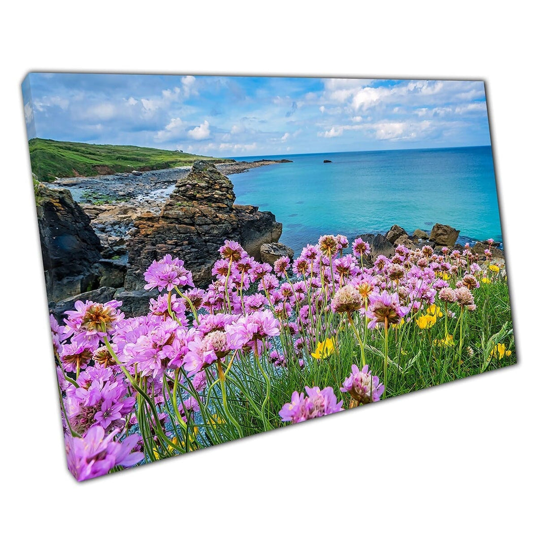Pink And Yellow Flowers On The Coast Of St. Ives Cornwall England UK Wall Art Print On Canvas Mounted Canvas print