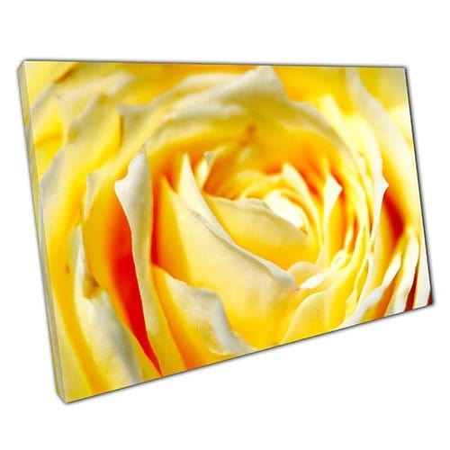 Print on Canvas Bright Yellow Rose Centre Close Up Ready to Hang Wall Art Print Mounted Canvas print