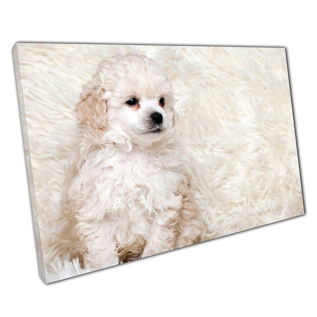 Cute Fluffy White Puppy Dog On A Fluffy Blanket Adorable Domestic Animal Dog Puppy Wall Art Print On Canvas Mounted Canvas print