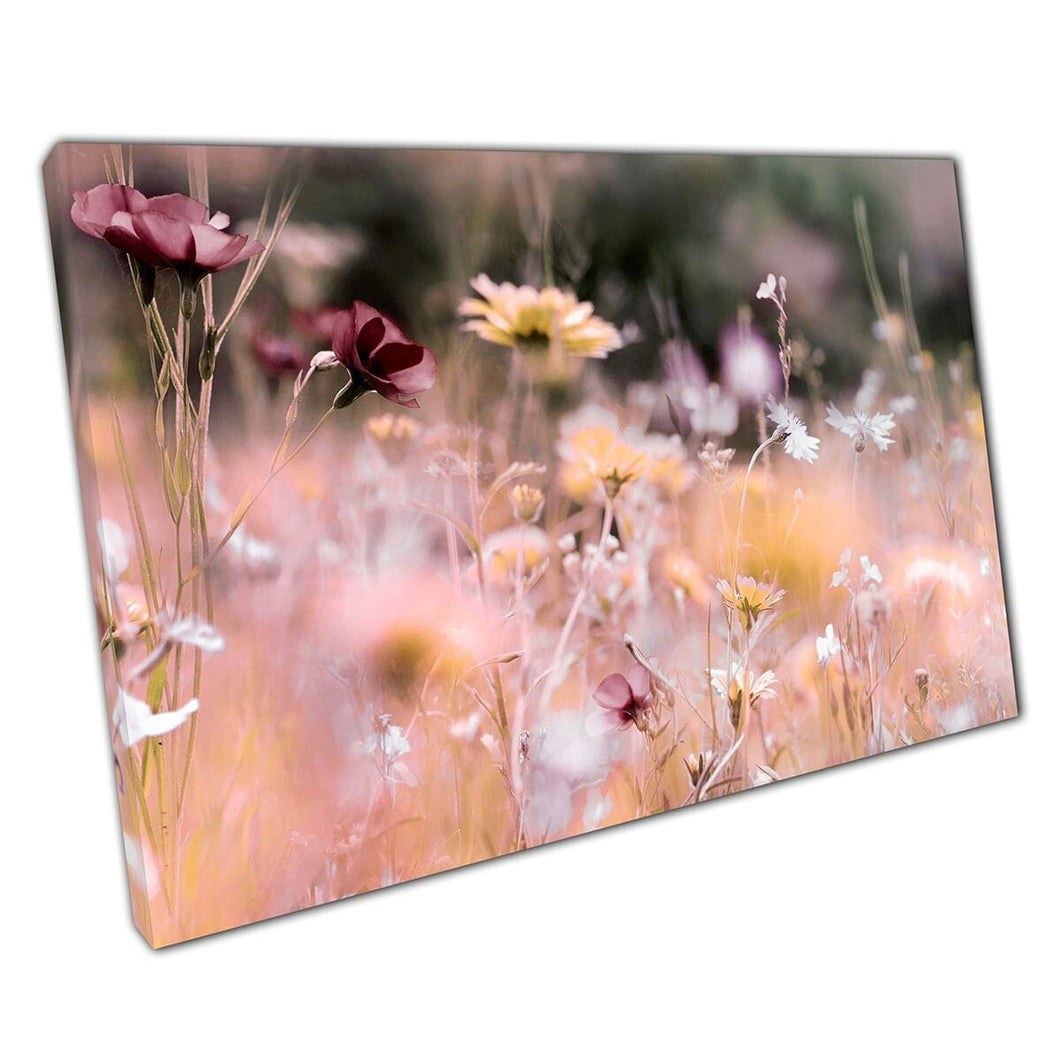 Summer Pastel Flower Shades In The Soft Morning Sun Wall Art Print On Canvas Mounted Canvas print