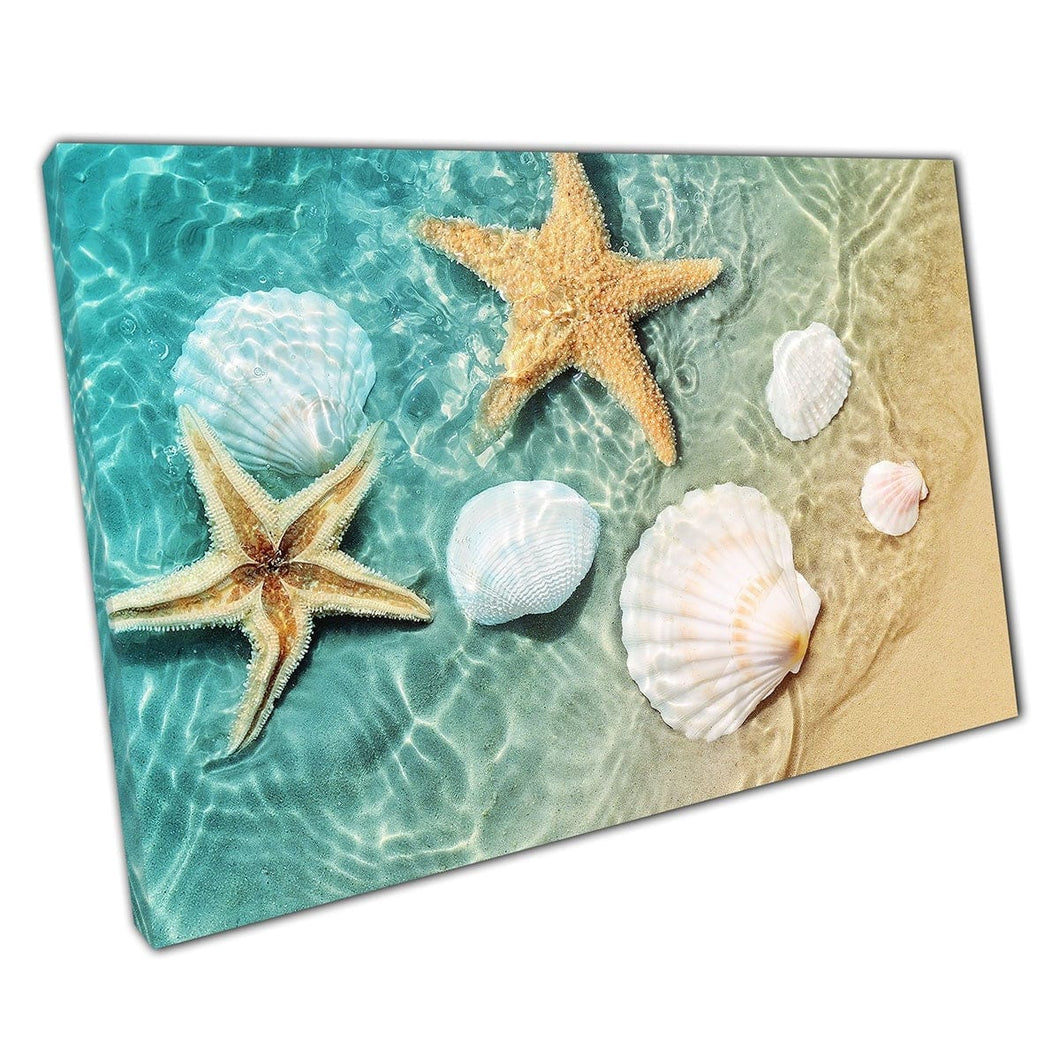Starfish And Seashells Washing Up On Beach Shore Summer Photography Wall Art Print On Canvas Mounted Canvas print