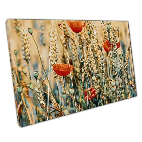 Print on Canvas Poppy Field in the Sun Ready to Hang Wall Art Print Mounted Canvas print
