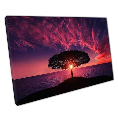 Print on Canvas Sunset Seeping Through Tree Shadow Ready to Hang Wall Art Print Mounted Canvas print