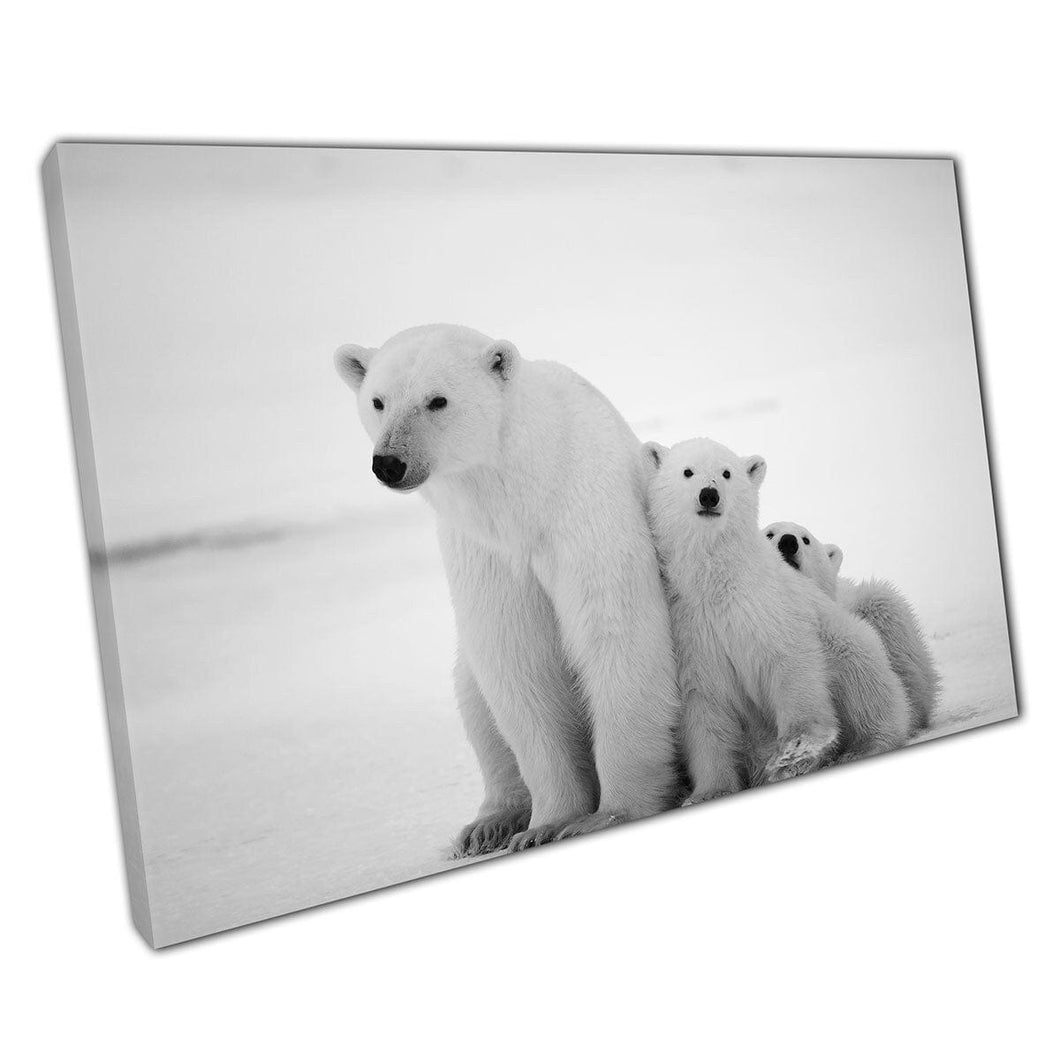 Polar Bear Mother With Two Happy Cubs Black And White Wild Animal Nature Photography Wall Art Print On Canvas Mounted Canvas print