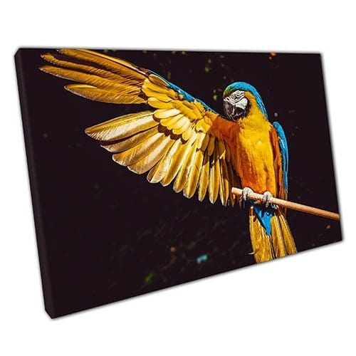 Print on Canvas Yellow Parrot Ready to Hang Canvas Wall Art Print Mounted Canvas print