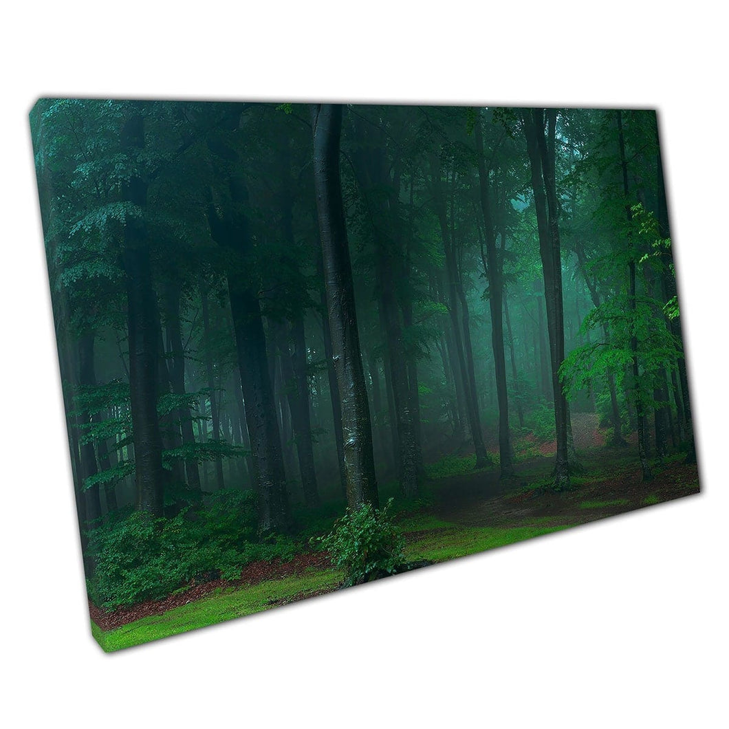 Foggy Spooky Fairy-tale Forest Woodland In The Morning Wall Art Print On Canvas Mounted Canvas print