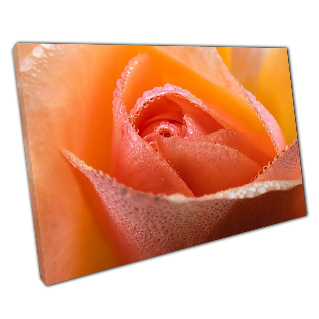 Macro View Of Rain Drops On Red Orange Pink Rose Petals Photography Wall Art Print On Canvas Mounted Canvas print