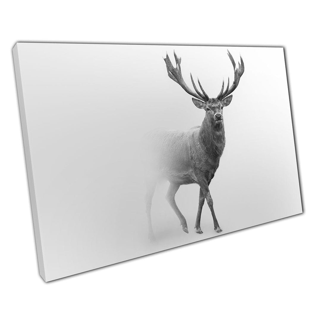 Strong Red Deer Stag Approaching From The Mist Fog Greyscale Photography Animal Wall Art Print On Canvas Mounted Canvas print