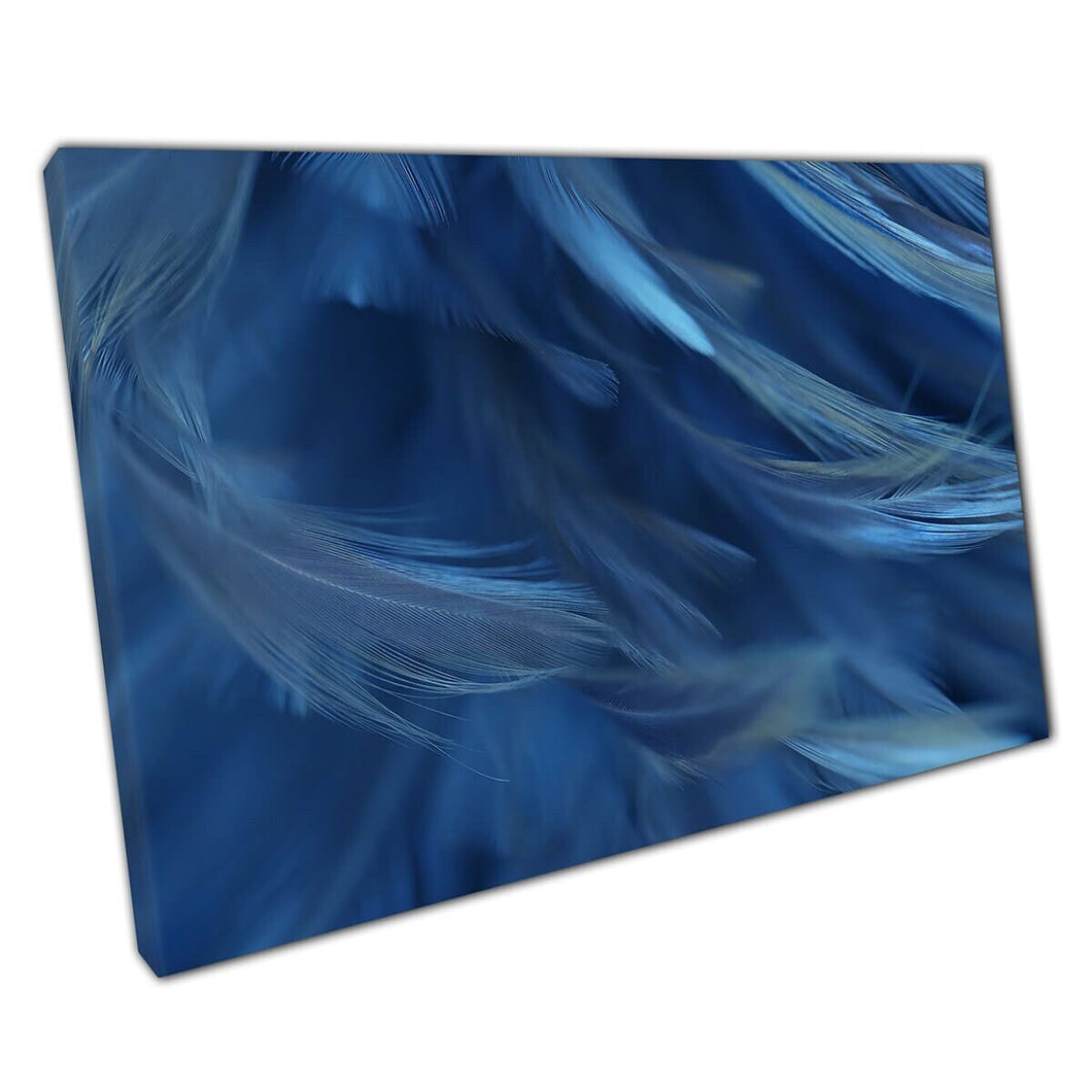 Blue Bird Feathers Soft Colour Focus Macro Natural Abstract Texture Photography Wall Art Print On Canvas Mounted Canvas print