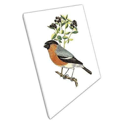 Print on Canvas Delicate Bird and Berries Drawing Ready to Hang Wall Art Print Mounted Canvas print