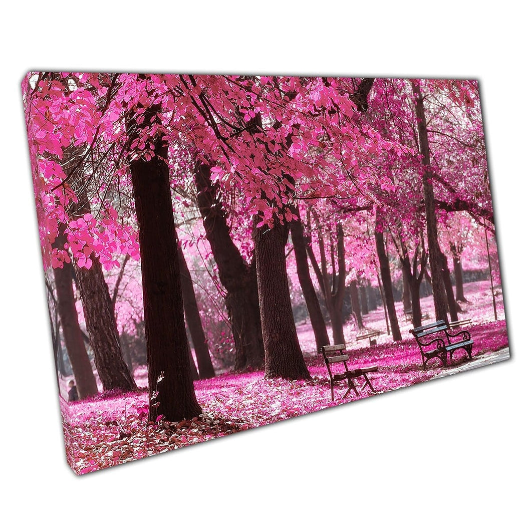 Stunning Autumnal Forest Altered To Pink Tones Wall Art Print On Canvas Mounted Canvas print