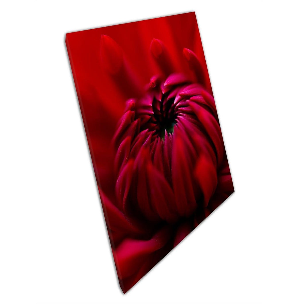 Bright Red Scarlet Dahlia Blossom Flower Detailed Macro Photography Wall Art Print On Canvas Mounted Canvas print