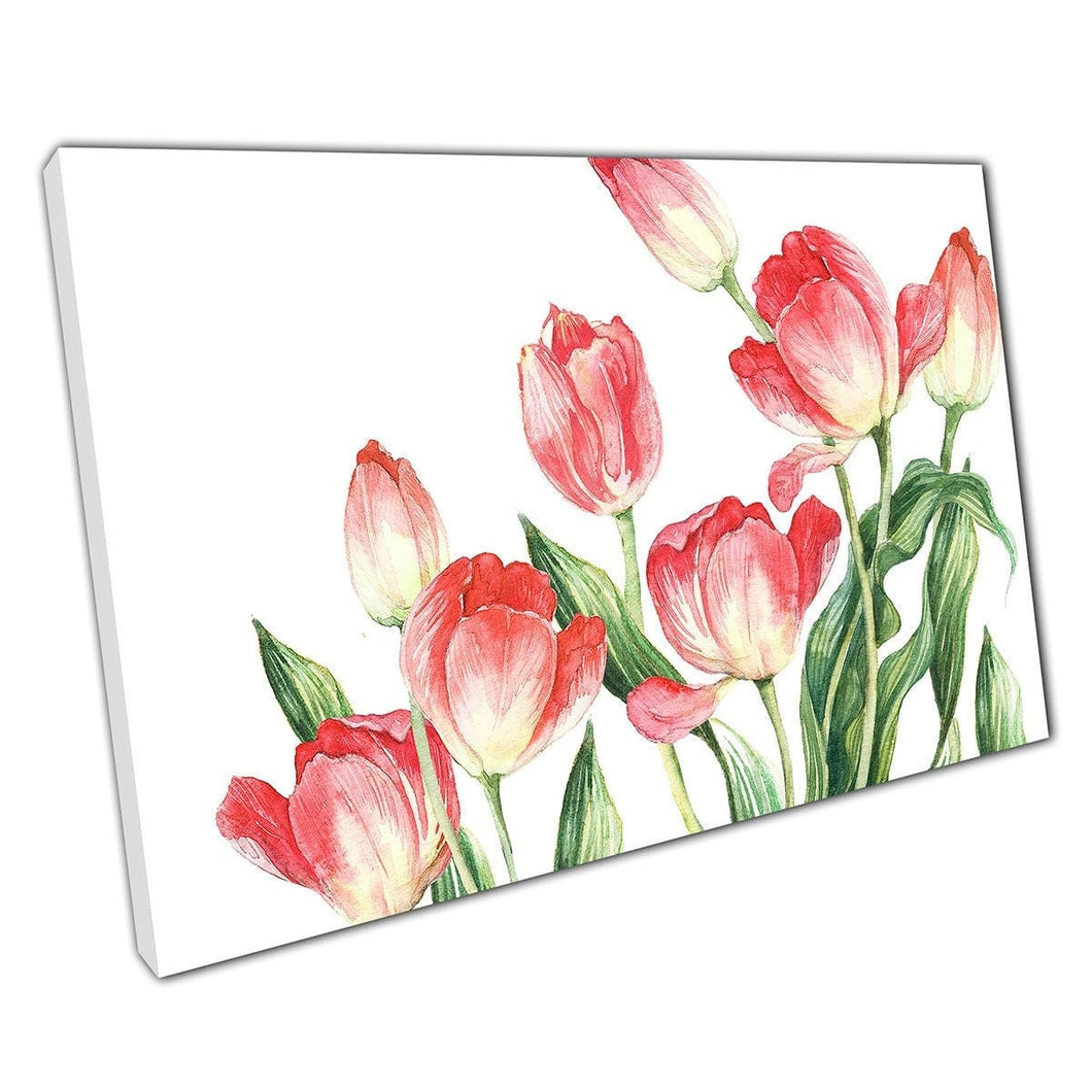Beautiful Bouquet Blooming Red Tulips Watercolour Painting Illustration Wall Art Print On Canvas Mounted Canvas print