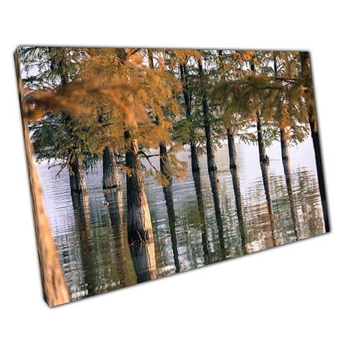Print on Canvas Forest of Flooded Trees Ready to Hang Wall Art Print Mounted Canvas print