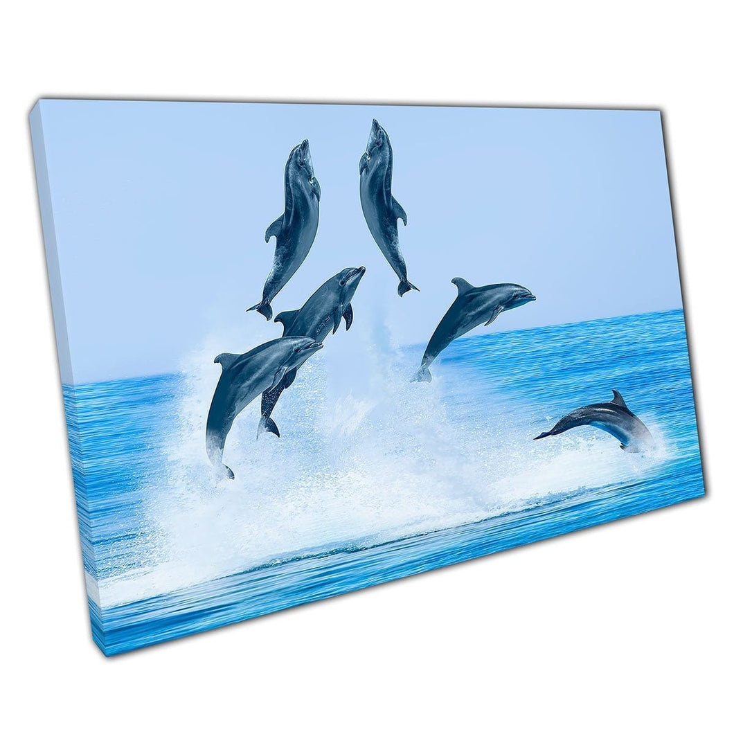 Group Of Playful Dolphins Jumping Above The Water Serene Seascape And Blue Sky Wall Art Print On Canvas Mounted Canvas print