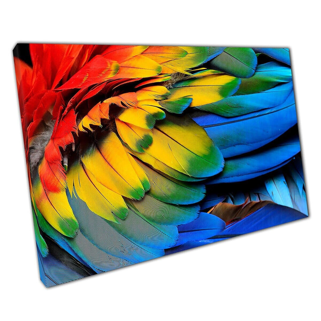 Stunning Detailed View Of Exotic Bird Scarlet Macaw's Vibrant Rainbow Feathers Wall Art Print On Canvas Mounted Canvas print
