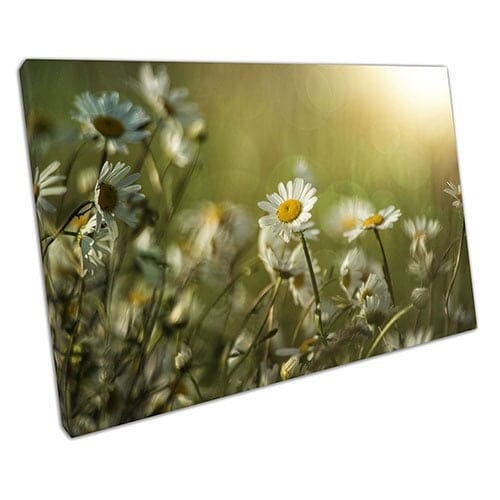 Print on Canvas Vintage Daisy Canvas Wall Art Ready To Hang Print Mounted Canvas print