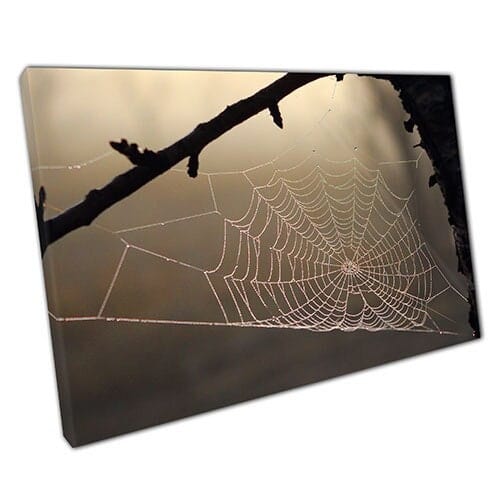Print on Canvas Spider Web in Eerie Fog Ready to Hang Wall Art Print Mounted Canvas print